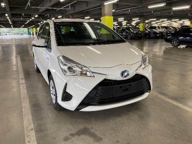 トヨタ ヴィッツハイブリッド F